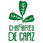 My Website